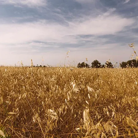Appartamento Borgo Le Colline Luxury In Tuscany *